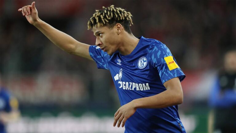 todibo